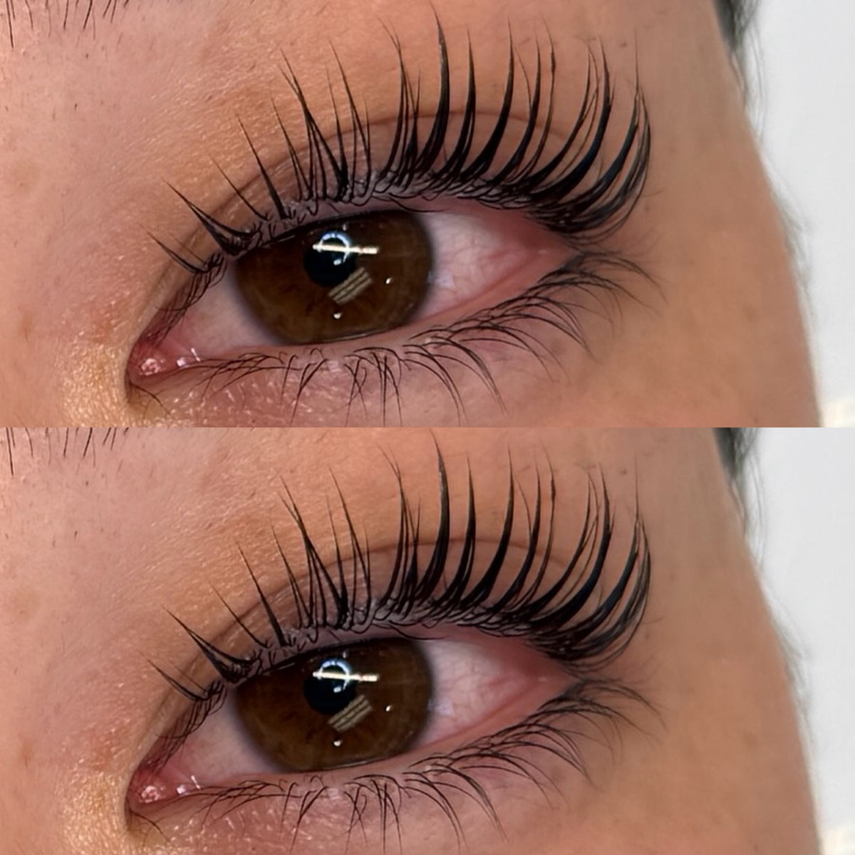 L Curl Korean Lash Lift Shield