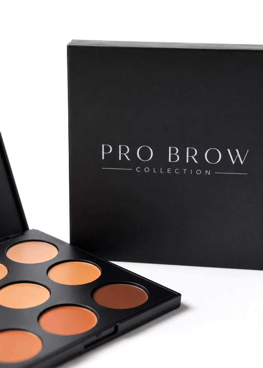 Pro Brow Concealer Palette